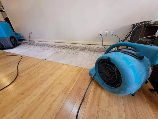 Professional Structural Drying technician working in Sellersville, PA